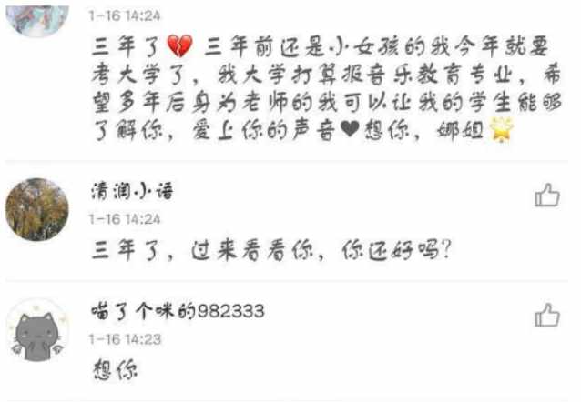 姚贝娜在离开世上前录的一段话,姚贝娜生前录的一段话评论区