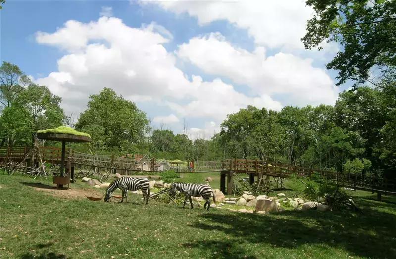 上海100个公园图片,上海有哪些免费的国家级公园