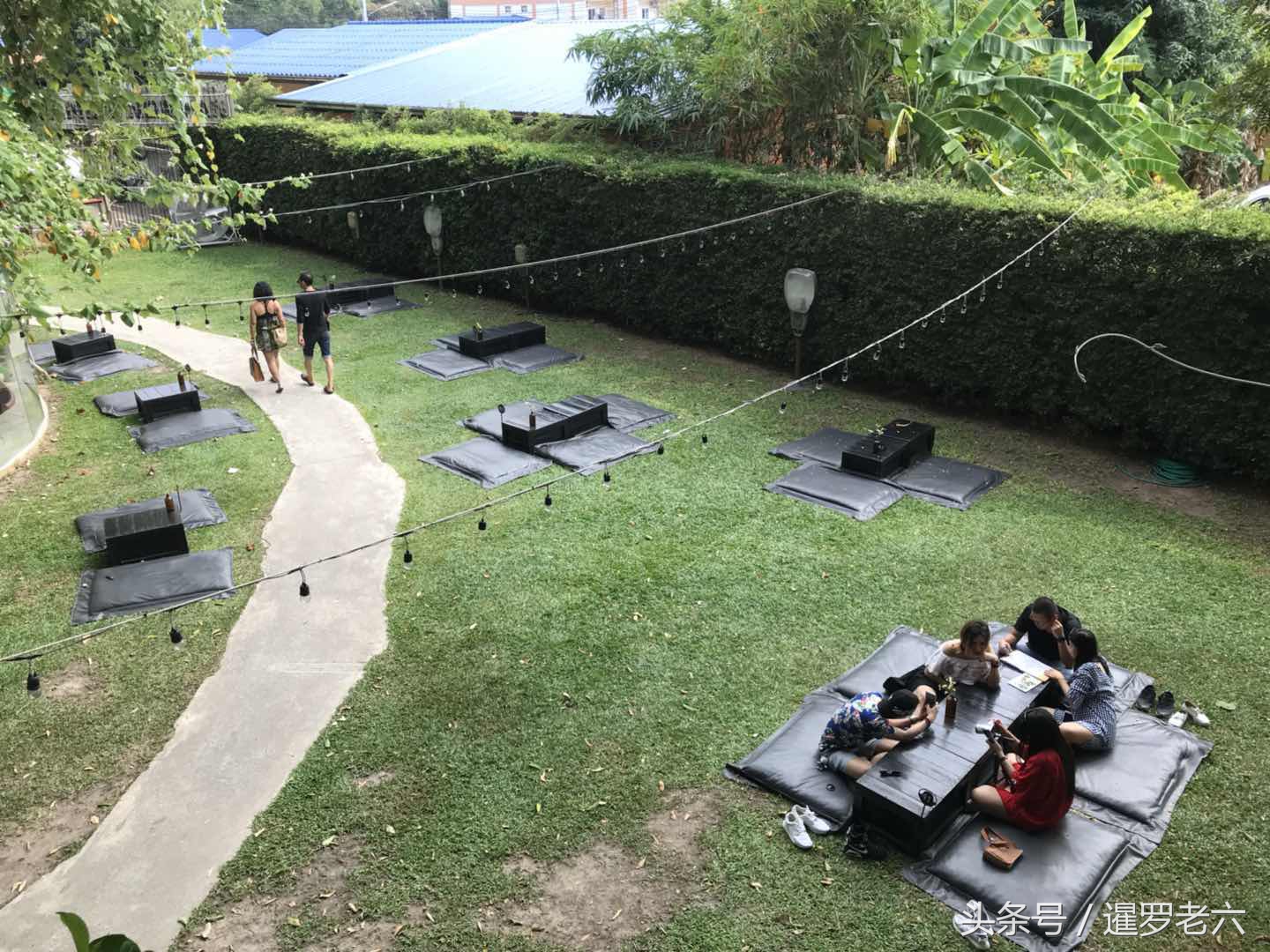 古树丛下享受下午茶时光！柠檬配薄荷混苹果汁加苏打，您猜啥味？