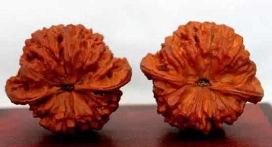 文玩核桃品种图鉴大全前十名,文玩核桃手串品种大全