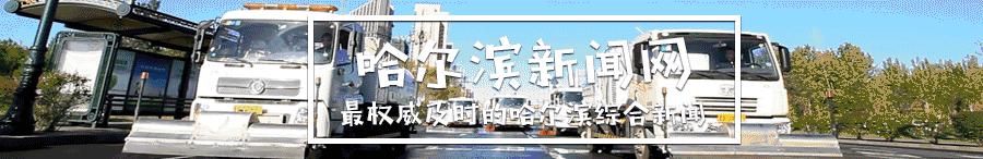 哈尔滨值得看的书籍,哈尔滨看什么书