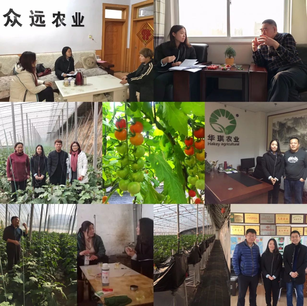 菜价跌落三成、市场遇艰，痛点之下，山东设施蔬菜该如何谋变？