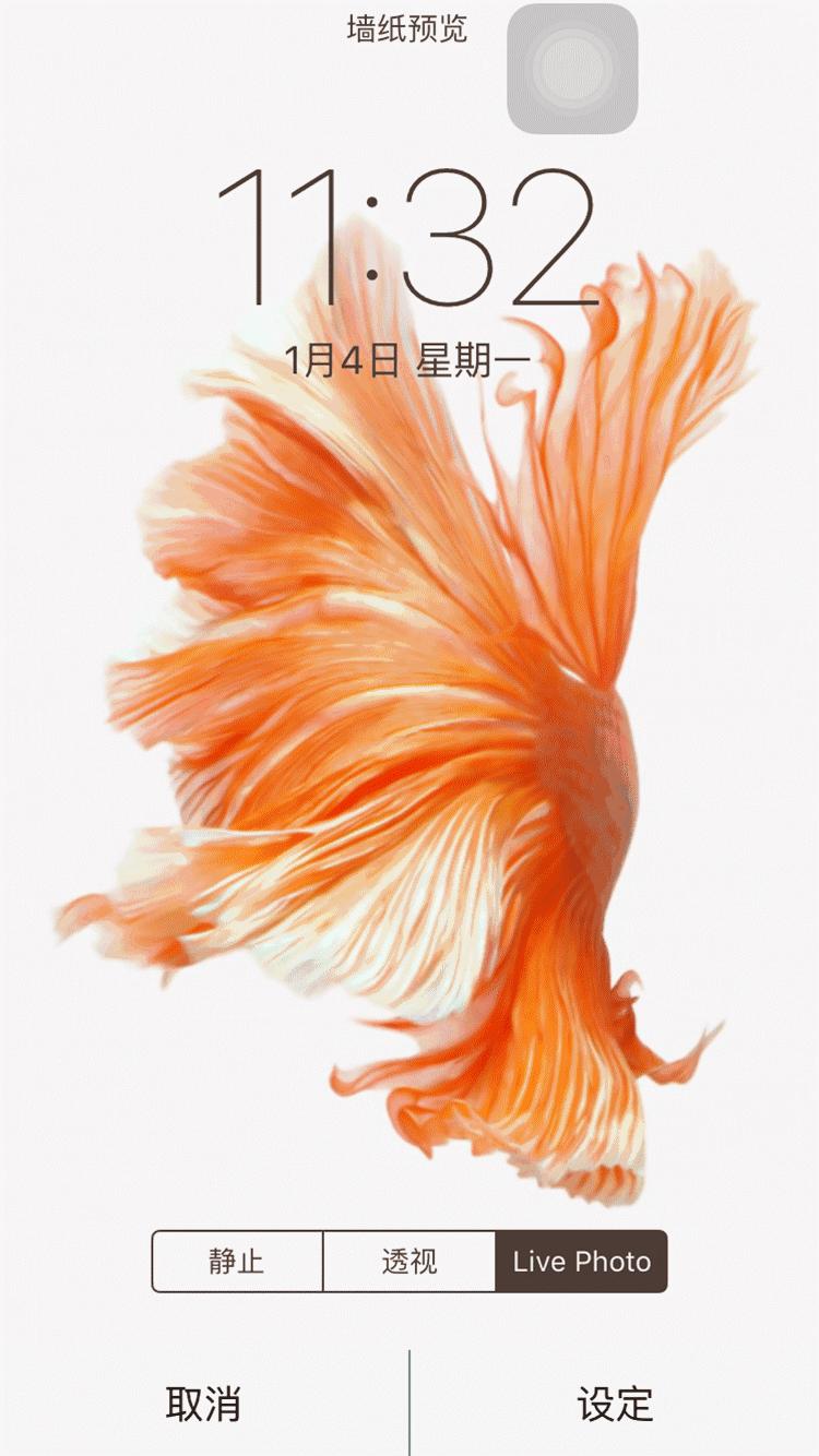 iphone6s测试视频,iphone6试用机