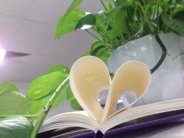 福利|直飞阿布扎比 乐享全球最*法大**拉利主题公园、星战绝美取景地