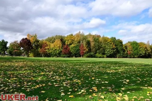 真是够了!扒一扒高大上如华威大学背后的逗比属性
