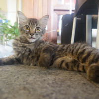 马尔代夫神仙珊瑚岛攻略,马尔代夫神仙珊瑚岛视频