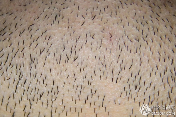 博朗3010s什么时候出的,博朗301s测评