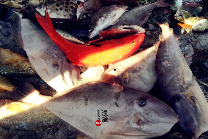 新年广州珠海长隆游记,广州珠海长隆澳门自由行攻略