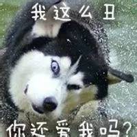 如此拉轰奇葩吊炸天的网贷名字你见过哪些？