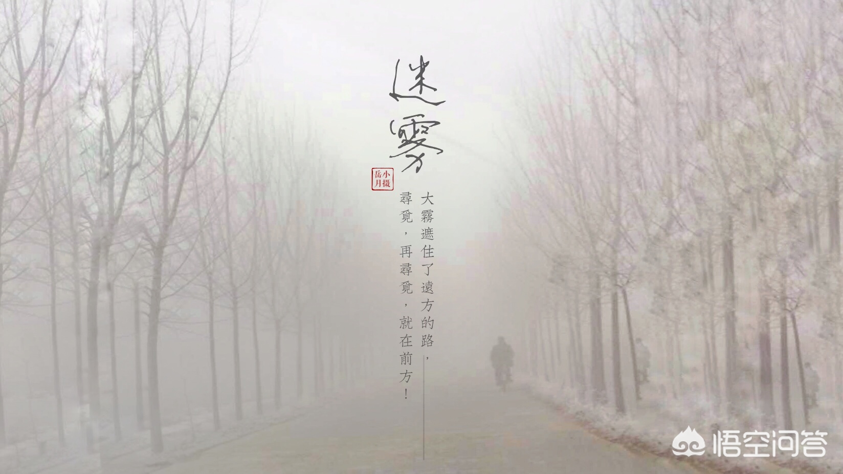 如何制作竖版照片,竖版照片文字排版