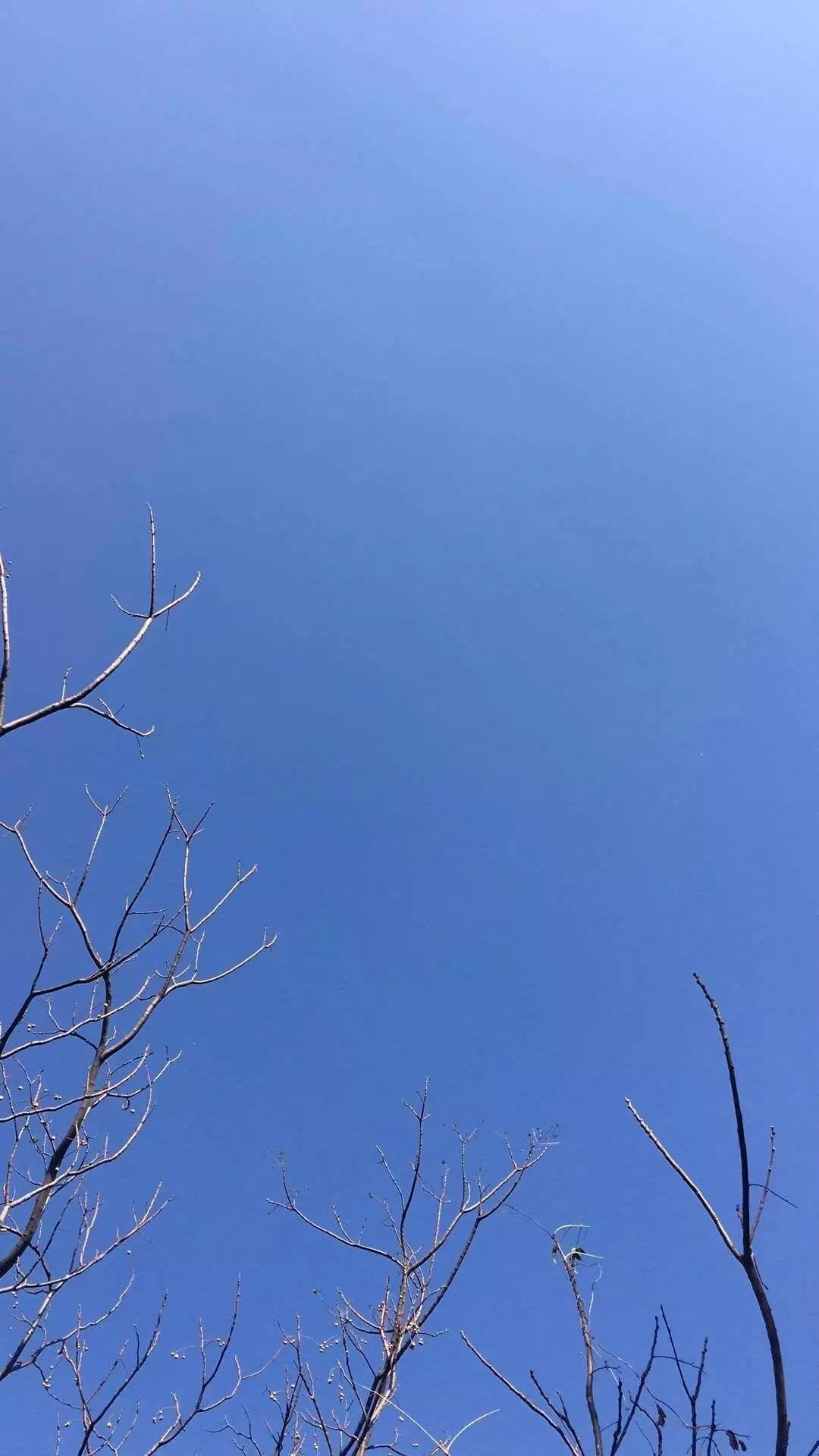 选一款吧！从此攀大就掌握在你手里了！