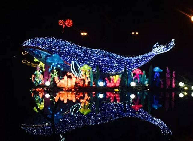 成都灯会七彩田野,灯会大型发光花灯