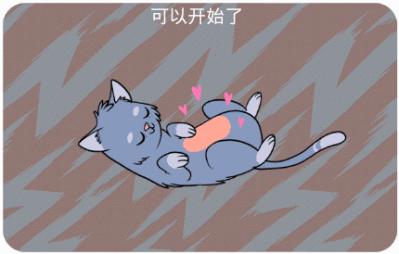 新手养猫指南铲屎官必看,铲屎官最容易忽略的五点养猫常识