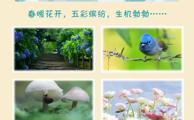 您过敏了吗——中日医院皮肤病专家杨顶权图说过敏