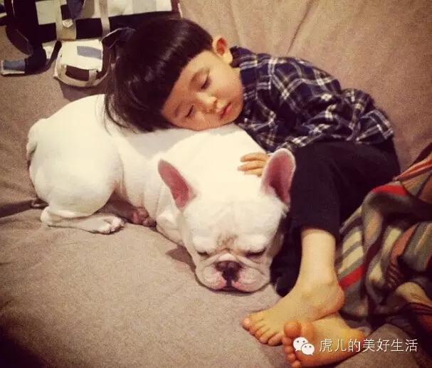 家里有孩子的适合养什么短毛宠物,学生党适合养1-5块钱的宠物