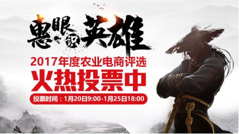 惠农网商业模式,惠农网的发展