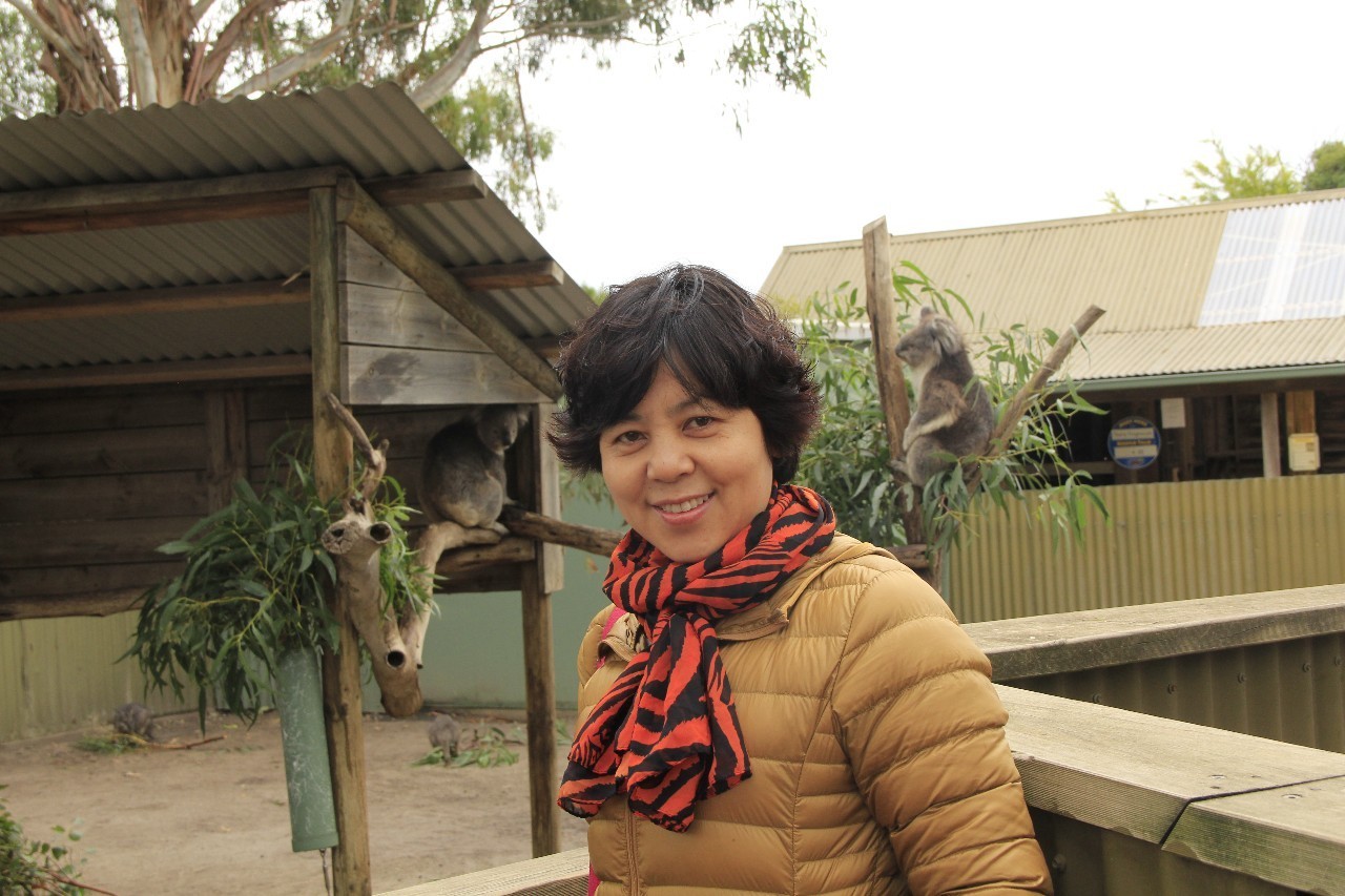 为什么千万不要带父母去旅行,别让父母独自出行