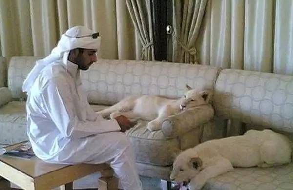 迪拜的营销方案,迪拜营销策略