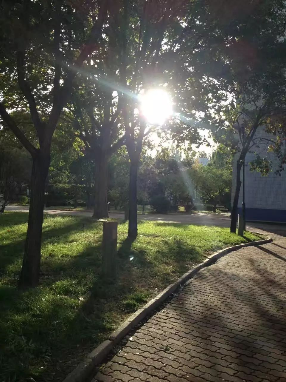 写同学活动的习作片段,小学三年级写集体活动的作文