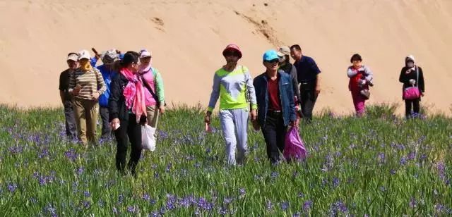 阿拉善今年活动,阿拉善户外活动