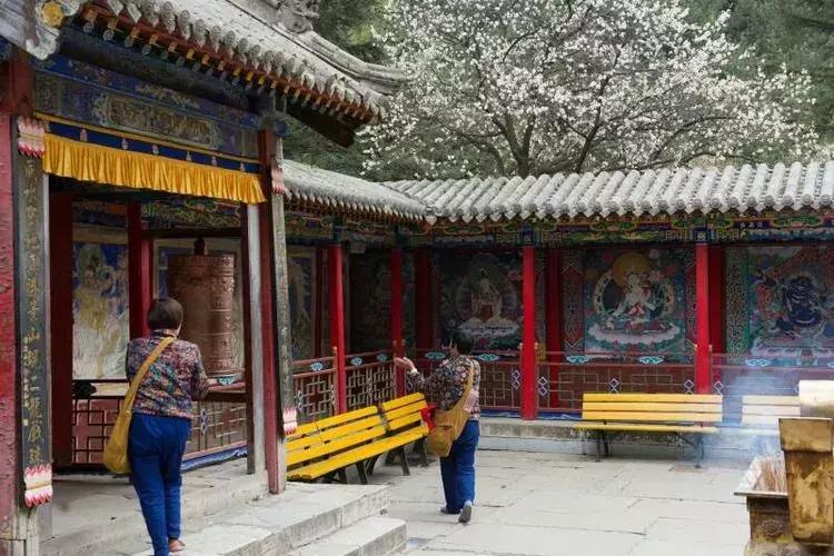 春节旅游一定要去五台山吗,今年冬天一定要去一趟五台山