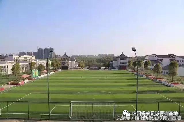 信阳蚂蚁足球直播,信阳蚂蚁足球培训班