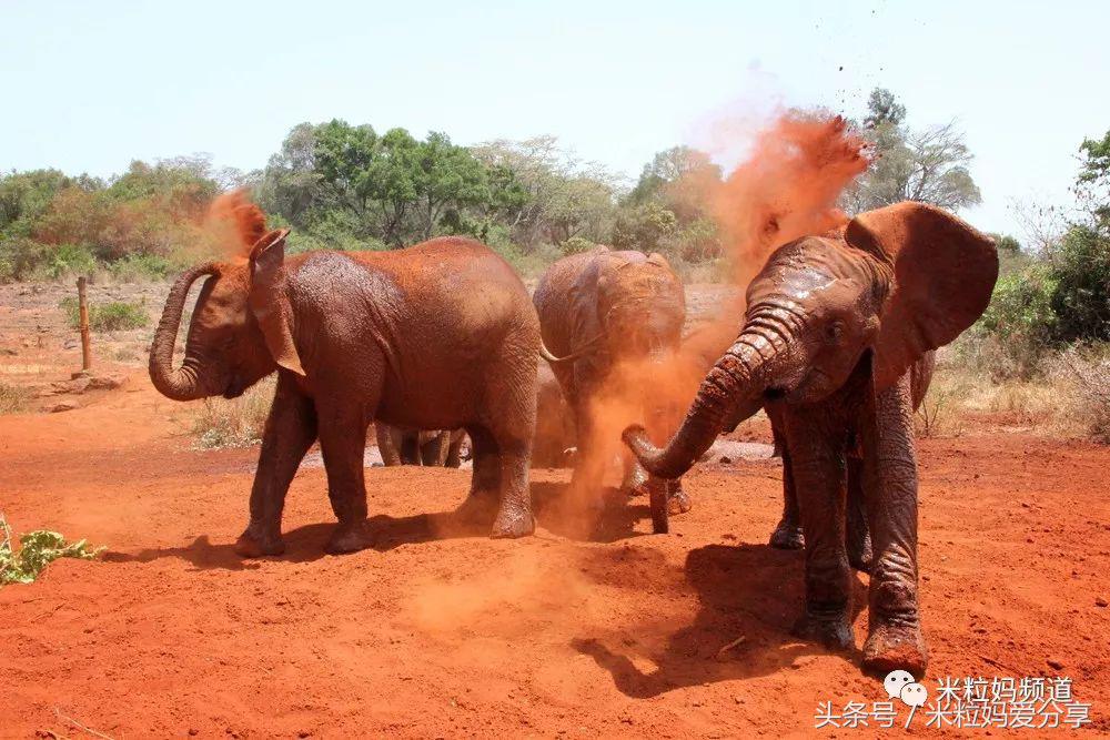亲子游出境自由行,亲子游建议去的十个城市
