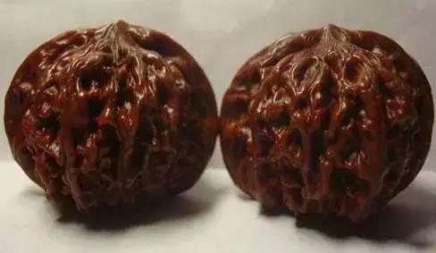 文玩核桃品种图鉴大全前十名,文玩核桃手串品种大全