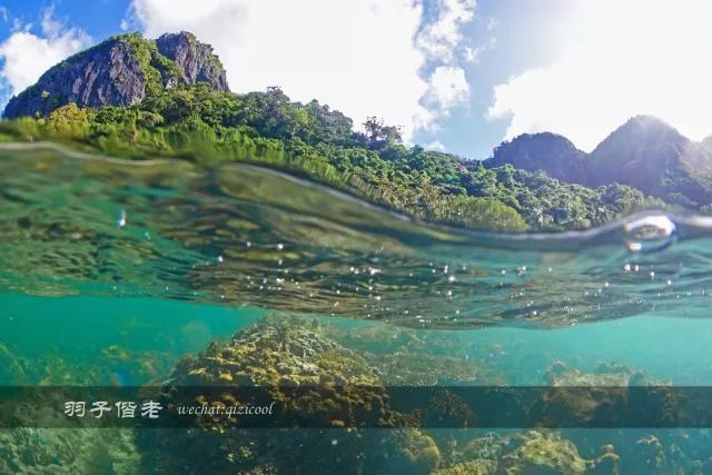 不再关心不再过问,不再过问身后事