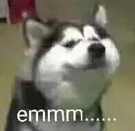 票票喵2.0版本理财,票票喵理财最新消息