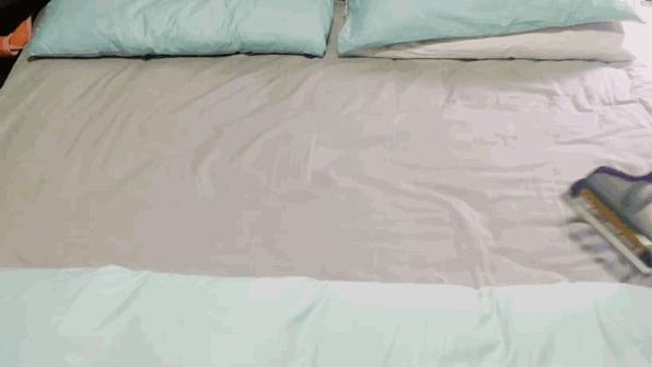 猫奴必做攻略,猫奴必看喵星人