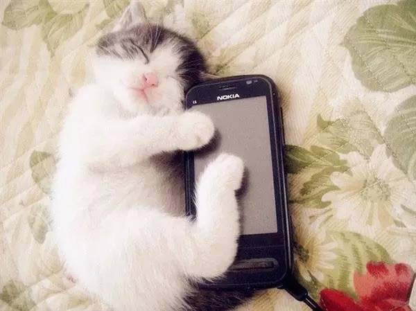 你晓得你那群死*党**晒出的iphoneX是通过神马手段弄来的吗~