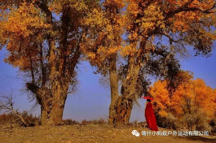 帕米尔高原肖贡巴哈尔节,帕米尔高原上的肖贡巴哈尔节