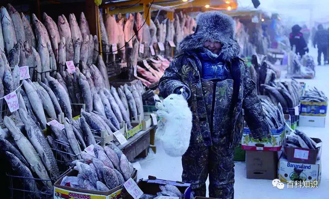 雅库茨克是冰城吗,冰城雅库茨克