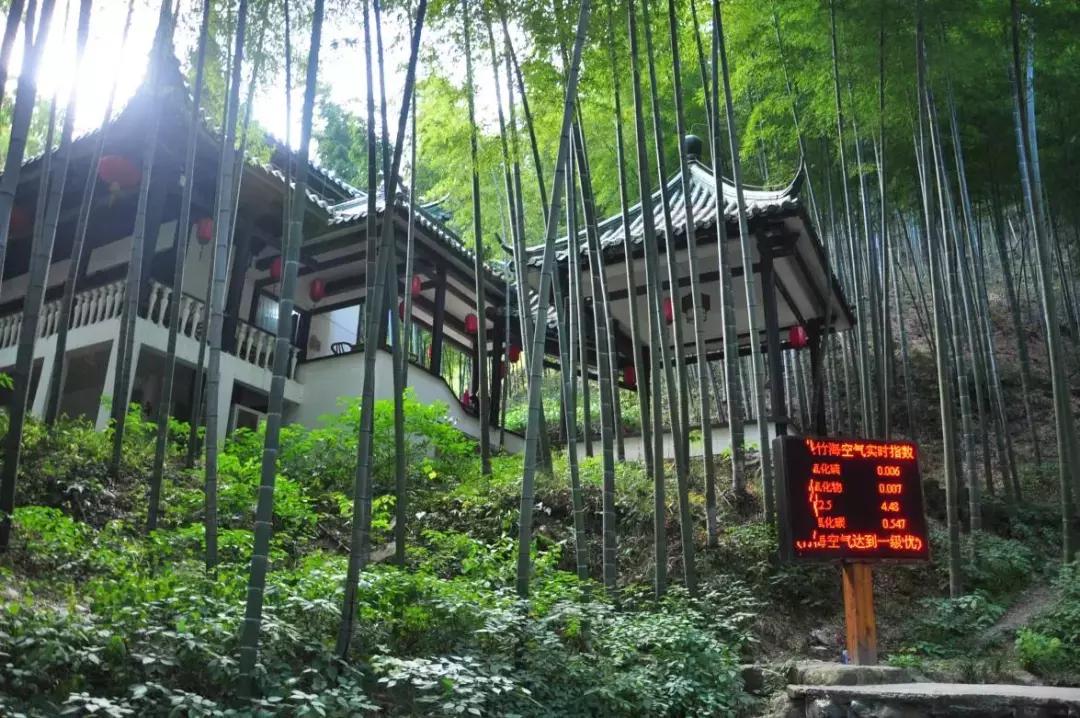 探一探海底世界，访一访竹林人家