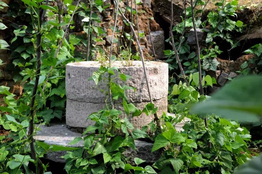 鹤壁淇县搬迁村庄名单,淇县黄洞乡西掌村