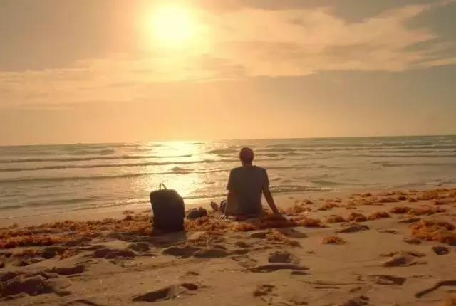 豆瓣8.8分的犯罪悬疑电影,豆瓣8.5分最新电影真实事件改编