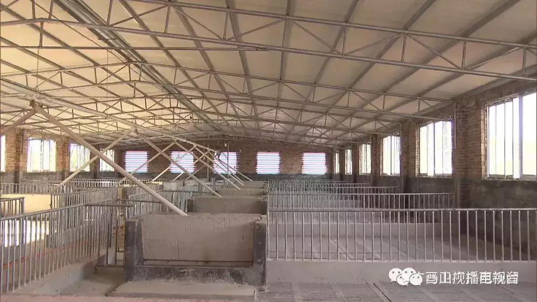 广西生态：“金字招牌”越擦越亮绿水青山变成“金饭碗”