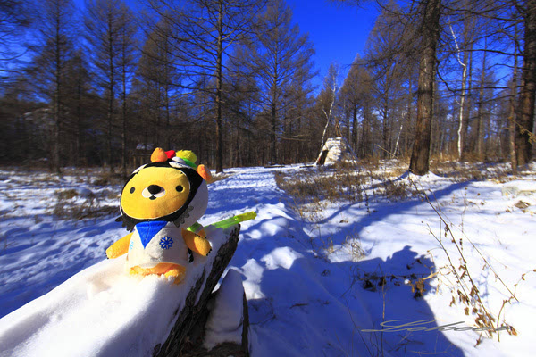 黑河兴安岭中有一个村款待客人方式怎么和蒙古族人一样？