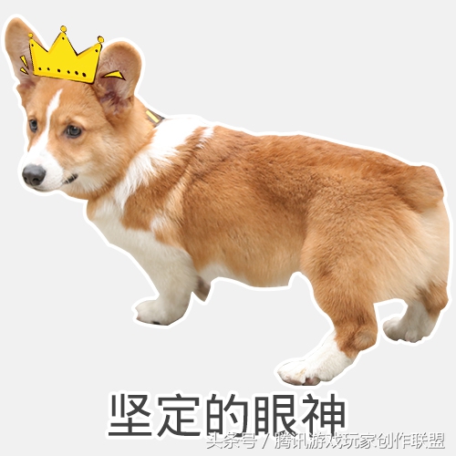 青莲剑仙十步杀一人,cos王者李白