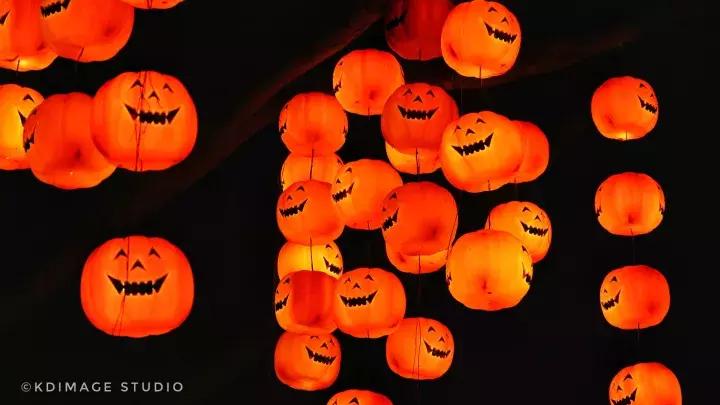 广州长隆欢乐万圣节最全攻略项目,广州长隆万圣狂欢夜我们来了