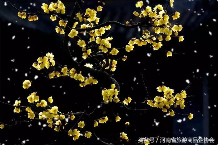 玩转河南冬天,玩转河南许昌