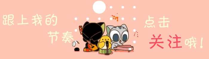 朱丽球，一款适合懒癌又容易开花爆盆仙人球