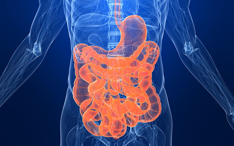 消化系统常见疾病和症状与用药,消化系统疾病专科用药有哪些