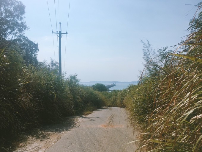 关上灯才意识到是黑夜,关上灯才知道它的魔力