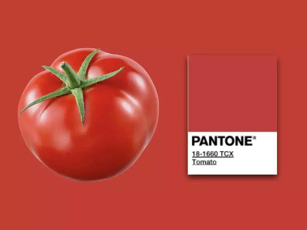 关于口红,这是篇史上最全颜色分析1.0