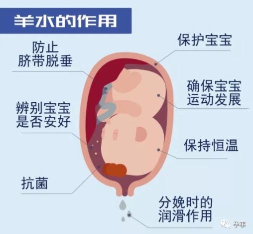 孕妈36周破水早产,36周羊水太多人工破水会早产吗