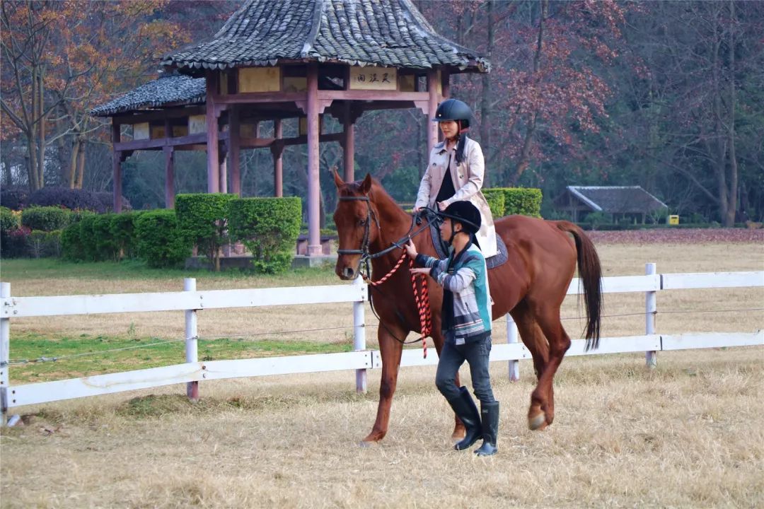福利丨粤北越北，风景更美，邀你到丹霞灵溪过个红红火火东北年