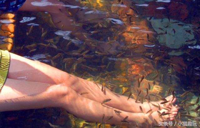 英德奇洞温泉特价门票多少钱一张,英德奇洞温泉度假区两日自驾游