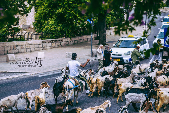 以色列三千年历史,以色列穿越时空项目